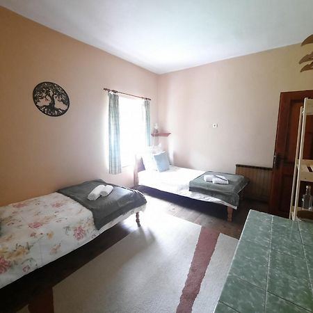 Apartament Stara Hisa Log Cezsoski Zewnętrze zdjęcie