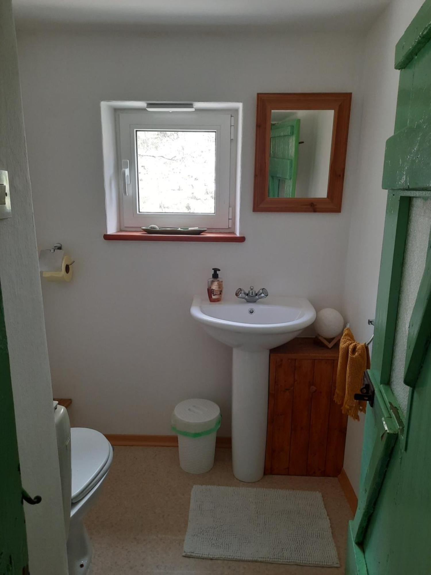 Apartament Stara Hisa Log Cezsoski Zewnętrze zdjęcie